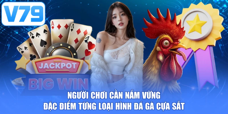 Người chơi cần nắm vững đặc điểm của từng loại hình đá gà cựa sắt