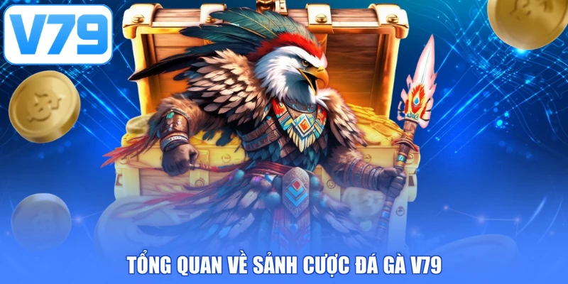 Tổng quan về sảnh cược đá gà V79